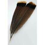 Smudge Feather-Turkey