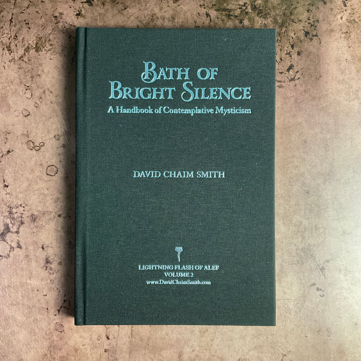 Bath of Bright Silence by David Chaim Smith