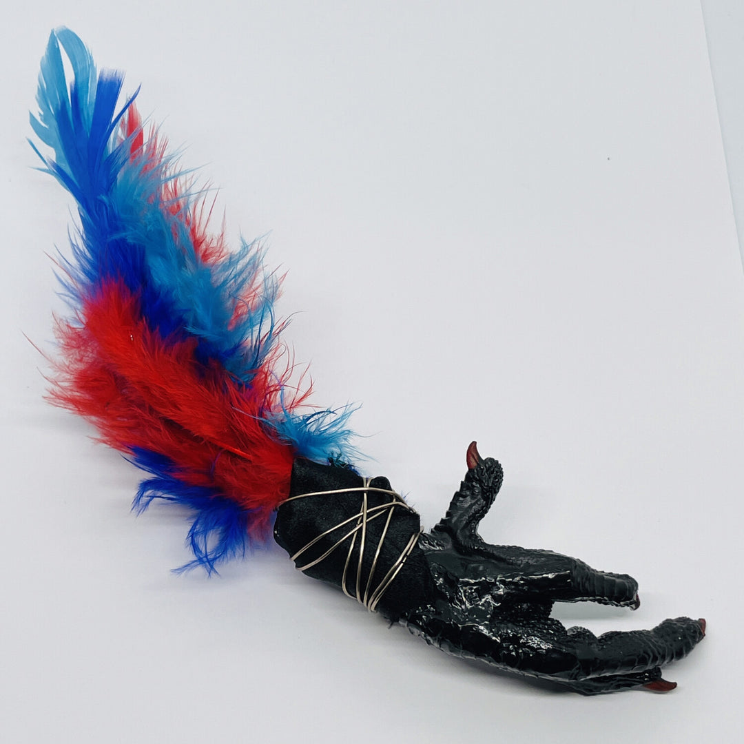 Black Chicken Foot Feathered