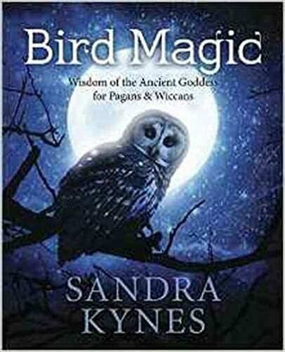 Bird Magic by Sandra Kynes