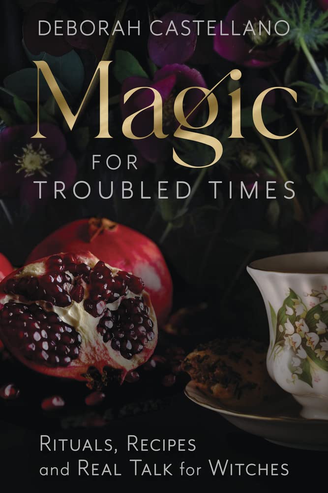 Magic for Troubled Times: Rituals, Recipes, and Real Talk for Witches by Deborah Castellano