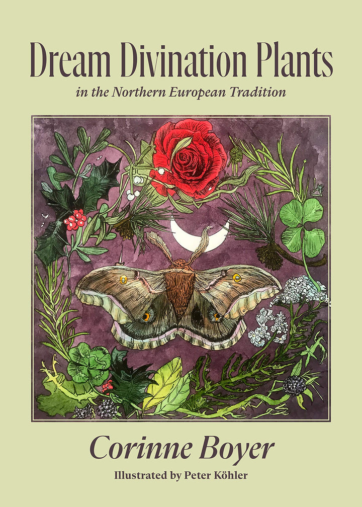 Dream Divination Plants: In Northwestern European Traditions by Corinne Boyer