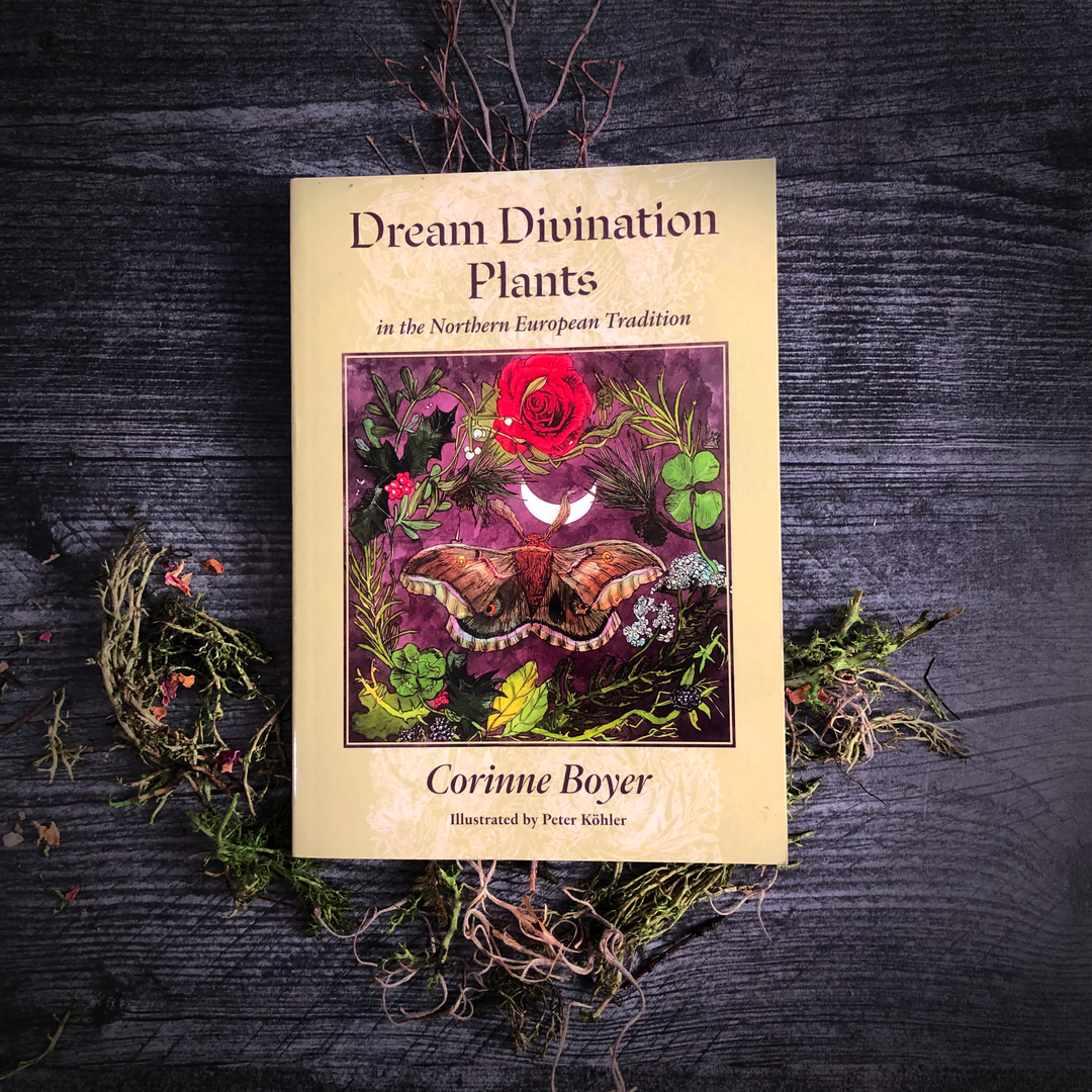 Dream Divination Plants: In Northwestern European Traditions by Corinne Boyer