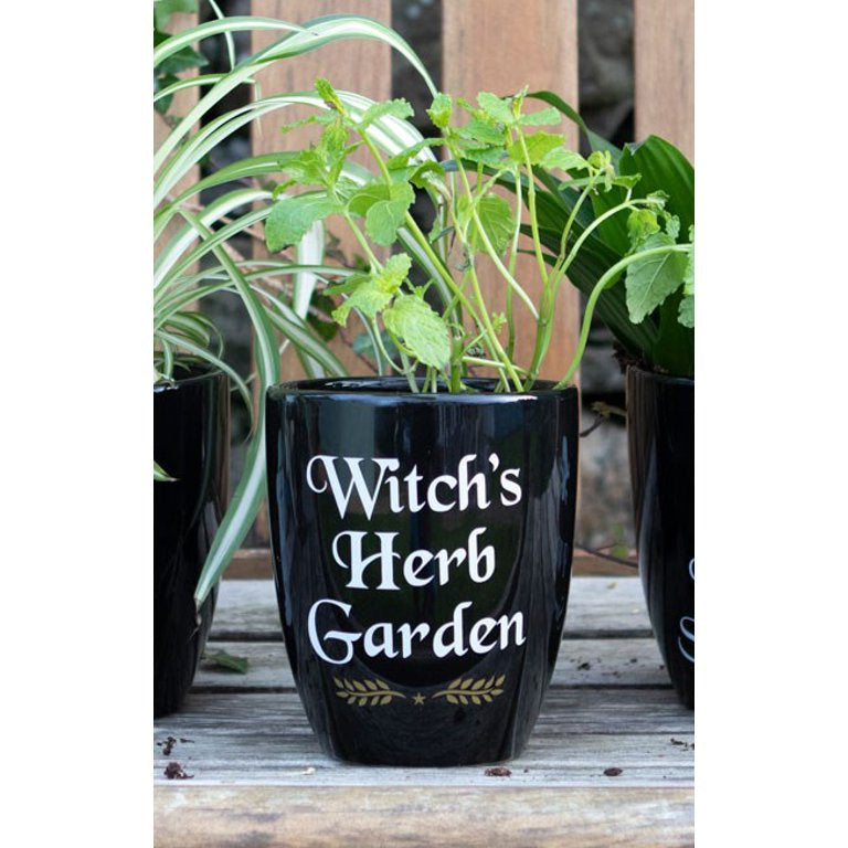 Witch's Herb Garden Planter 5.5"